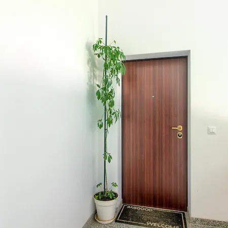 Apartments Zara Διαμέρισμα Ζαντάρ