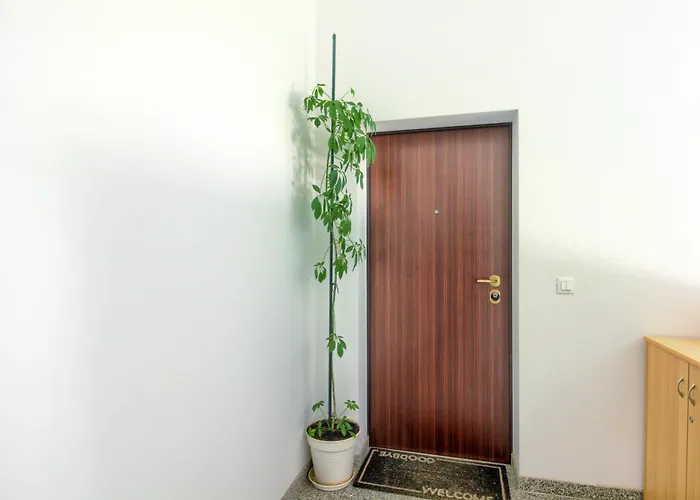 Apartments Zara Appartamento Zara