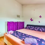 Apartments Zara Zadar